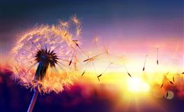 内心非常敏感脆弱，重感情的星座，一旦付出真心很难回头！