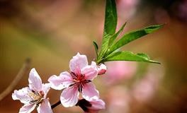 这3个星座颜值高涵养好，最容易被暗恋