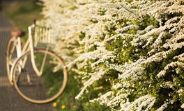 跟水象星座恋爱一定要知道这些事