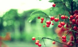 生气时“杀伤”范围广，这些星座心情一差，容易伤及无辜