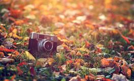 年纪越大越吸引异性的星座：优雅气质浑然天成，成熟魅力动人心魄