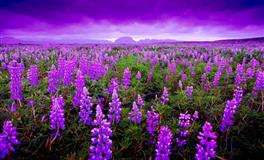 与人为善，不随意批评抱怨的星座，传播正能量，是“人气王”