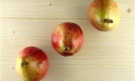 想征服这个星座得先勾起他征服你的欲望