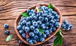 事业心还很强，关键最旺夫的三大星座女