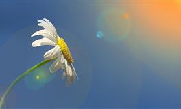 喜欢一个人，这几个星座会有什么特征？会变得害羞吗？