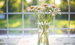 耐不住寂寞，又想要自由的三大星座，不知道满足，也不愿被束缚