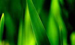 听到打折就兴奋的星座女，人生就是买买买！