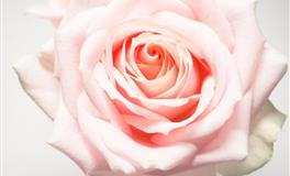 分手最果断的星座，是够理性，还是太狠心？