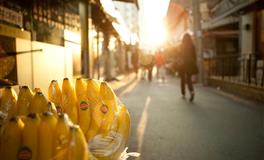 心理测试：你觉得哪只小鸟正要飞走？测你以后是贫穷还是富有