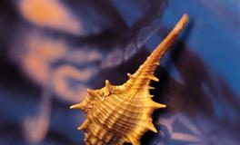 容颜虽老，却韵味十足，依然绝代风华的星座女，真的越老越迷人