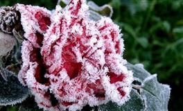 这些星座表面有多正经，私下就有多闷骚