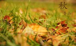 在爱里永远不会当舔狗的星座，学不会低声下气，更不会出卖尊严