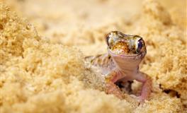 恋爱中特别难搞定的星座！水瓶座性格冷漠，天蝎座戒备心太强