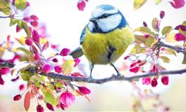 会找合适的人结婚，最有可能对爱情婚姻有清醒认识的三大星座