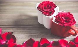 能够坚持到底，厚积薄发的四个星座