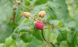 憎恨散去，只剩情深，3星座跌跌撞撞，十指紧扣深爱的人