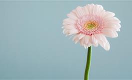 越相处，越是觉得这三大星座智商惊人，天生好奇心超强！