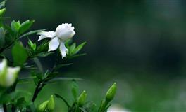 秦阳明2020年11月20日生肖运势