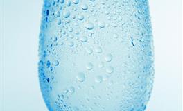 郑博士2020年11月30日生肖运势