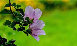 古易方2021年生肖蛇男士运程全解