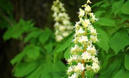 娜迪亚嘉珊2021年星座运势