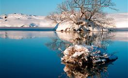 苏珊米勒每日运势2021年1月16-17日