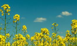 李云天今日生肖运势2021年2月23日