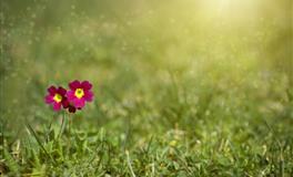 苏珊米勒每日运势2021年4月20日