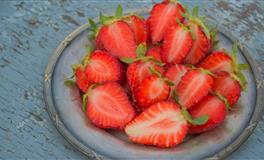 李云天今日生肖运势2021年4月10日