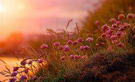 董易林2021年5月24日生肖运势