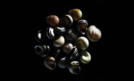 易鑫2021年5月2日生肖运势