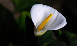 氧气占星2021年5月星座运势