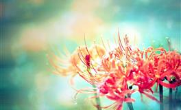 董易林2021年5月21日生肖运势