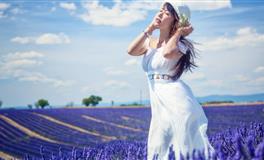 羲邑师姐十二生肖运程