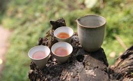 12星座2021下半年事业运势