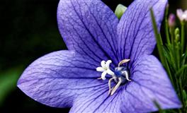 恋爱后，这些星座会主动跟异性保持距离