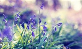 李云天塔罗牌一周生肖运势8.2-8.8