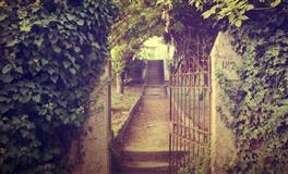 马乔丽白羊座2021年9月运势