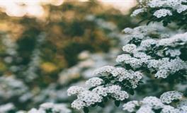 让往事随风，这些星座绝不会纠结过去的事