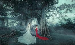 杀破狼金牛座一周运势 2021.9.20-9.26