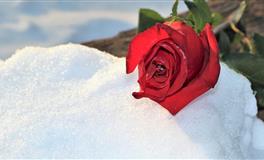 滴天居士生肖猴2021年10月运势