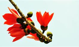 2021下半年，12星座工作运排行榜