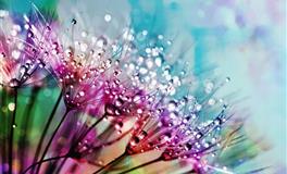 12星座日月性格:太阳摩羯座+月亮水瓶座