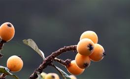 苏珊米勒每日运势2021年9月10日