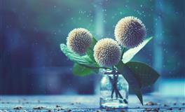 兰亚多天蝎座一周运势9.15-9.21