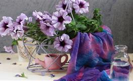 2022年是什么命，2022年是什么年