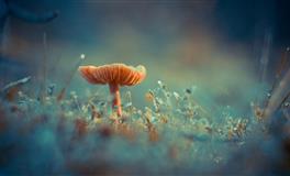 李云天每日生肖运势2021年9月21日