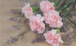 苏珊米勒一周星座运势（9.6-9.12）