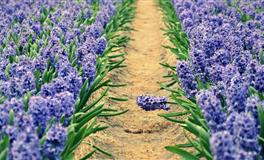 占星骑士天秤座一周职场运势（9.26-9.30）