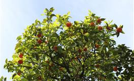 李云天处女座一周运势9.20-9.26